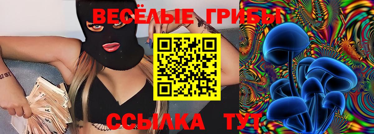 сколько стоит  Вход с VPN  Артёмовский  Галлюциногенные грибы Psilocybine cubensis 
